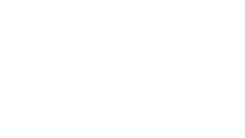Logo Platinum